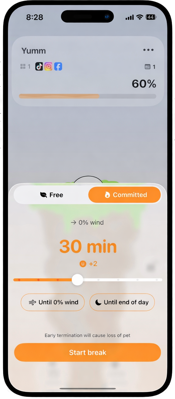 Shield & Lock screenshot