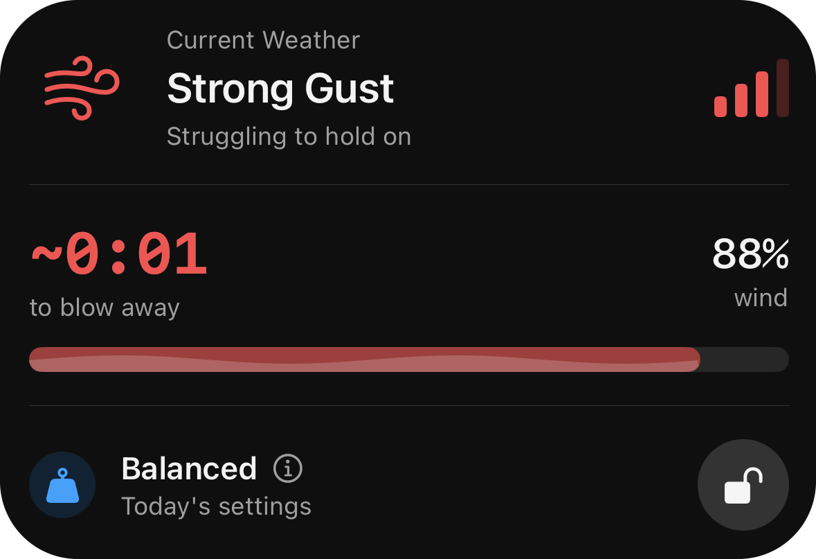 Wind level: Strong Gust