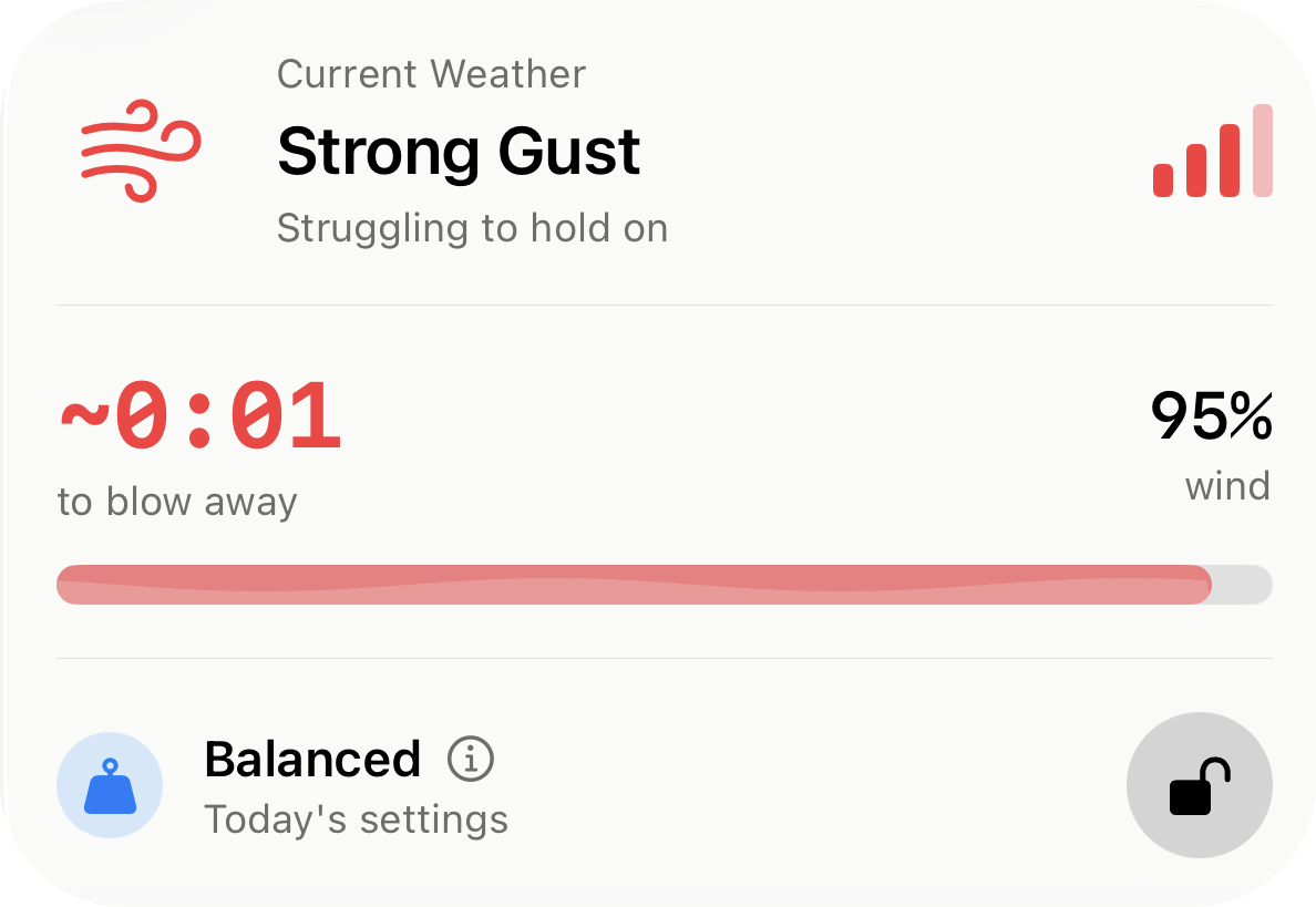 Wind level: Strong Gust